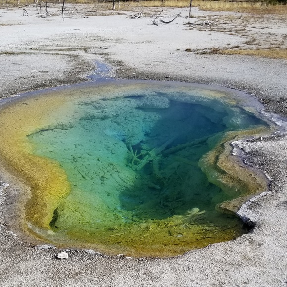 Meet your Posher, Sara - Picture 5 of 8